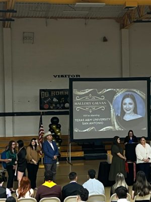 IMG_6510 IMG_6510