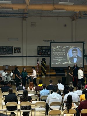 IMG_6513 IMG_6513